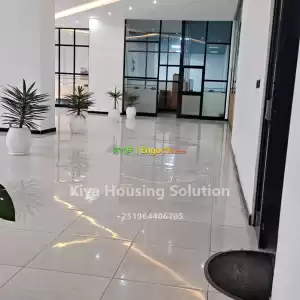 በሳር ቤት ሱቅ በ 1 ሚሊየን ቅናሽ Price in Ethiopia