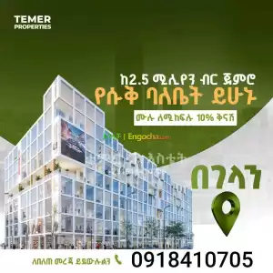 ቴምር ፕሮፐርቲስ Price in Ethiopia