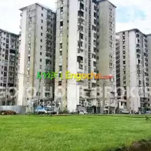 የሚሸጥ ሱቅ መቶ ሺ የሚከራይ የለማ ሰፈር ውስጥ Price in Ethiopia