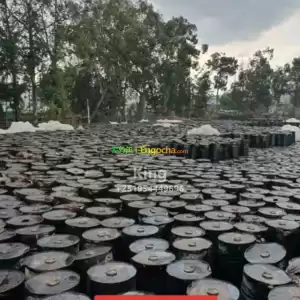 Renge for sell Price in Ethiopia