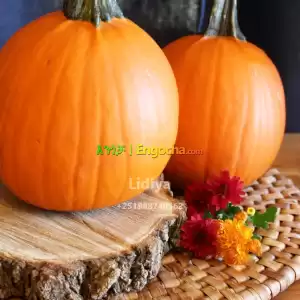 dubafre Price in Ethiopia