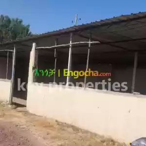 ware House forrent in Ethiopia