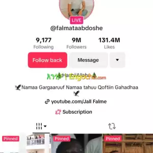 TikTok and Facebook page Price in Ethiopia