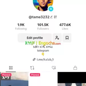 የሚሸጥ Tiktok account Price in Ethiopia