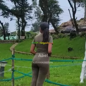 gym tights in Ethiopia