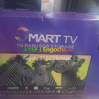 zebra 55 inch smart tv 4k