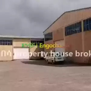 ሚሸጥ መጋዘን 5350ካሬ Ermi Price in Ethiopia