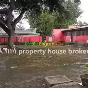 ሚሸጥ ት/ም ቤት 3825ካሬ Ermi Price in Ethiopia