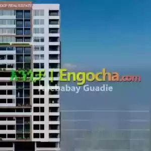 እጅግ ዘመናዊ አፓርትመንት በ መሀል ቦሌ ፡ አለምነሽ ፕላዛ ካባቢ Price in Ethiopia