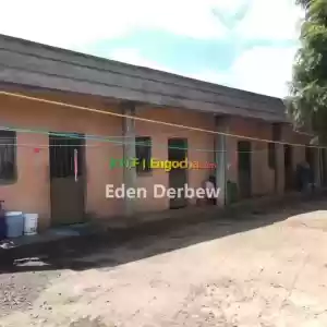 ኮተቤ ካራ ካርታ ያለው ግቢ Price in Ethiopia