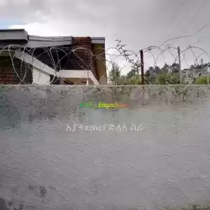 #የሚሸጥ ፈራሽ ቤት ቦሌ አትላስ 500ካሬ አስፓልት አንድ ግልባጭ አለ ለበለጠ መረጃ ይደውሉልን ### Price in Ethiopia