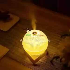 ️Lark Humidifier in Ethiopia